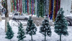 Новогодняя ночь для узбекистанцев возможно будет снежной