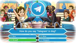 Telegram для Android и iOS обновился до версии 5.14