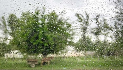 В Узбекистане в ближайшие дни ожидаются дожди и сильный ветер