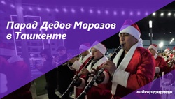 Как прошли парады Дедов Морозов в Ташкенте - видео