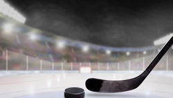 Хоккейный матч в ледовом дворце Alpomish