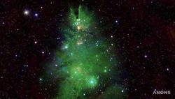 NASA опубликовало фото скопления звезд в форме новогодней елки