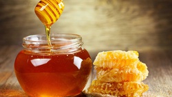 Ярмарка мёда в парке Anhor