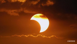 Узбекистанцы 10 июня смогут наблюдать частичное солнечное затмение