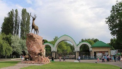 Семейная акция в Ташкентском зоопарке