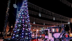 Парк «Янги Узбекистон» сообщил об открытии зимнего сезона