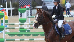 Международные соревнования по конному спорту в Ташкенте