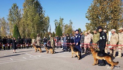 Выставка служебных собак в Парке Победы