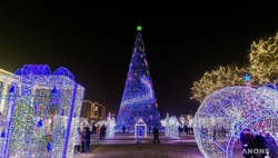 Главная ёлка Узбекистана вошла в топ-5 самых высоких елок СНГ