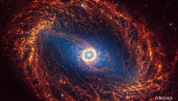Космический телескоп «Джеймс Уэбб» сделал самые детальные снимки 19 спиральных галактик