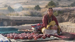 На «Оскар» от Узбекистана выдвинули фильм «Две тысячи песен Фариды»