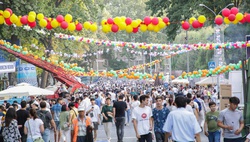 Ташкент ждёт насыщенная программа, состоящая из шести фестивалей