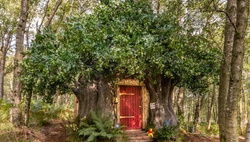 Disney построил дом Винни-Пуха в английском лесу, который можно арендовать на ночь через Airbnb