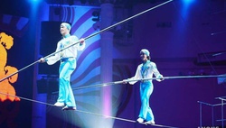Завораживающие представления в Ташкентском цирке
