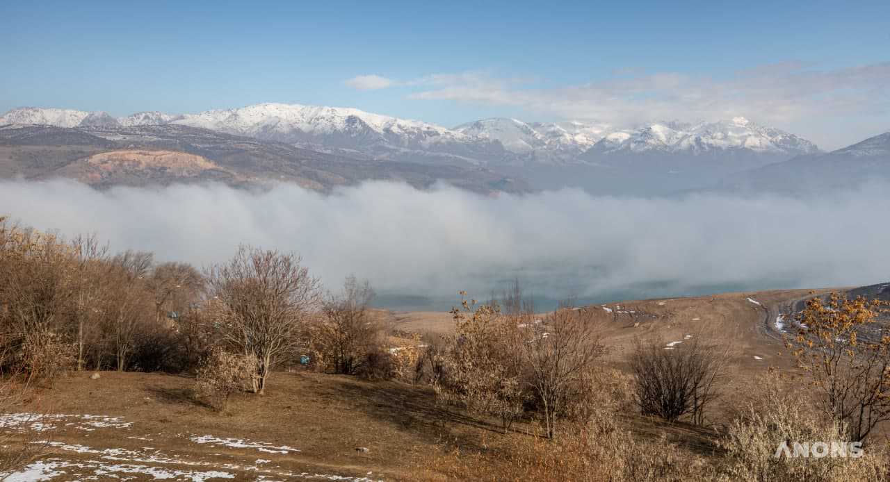 На выходных в некоторых регионах Узбекистана ожидаются заморозки до -3 градусов
