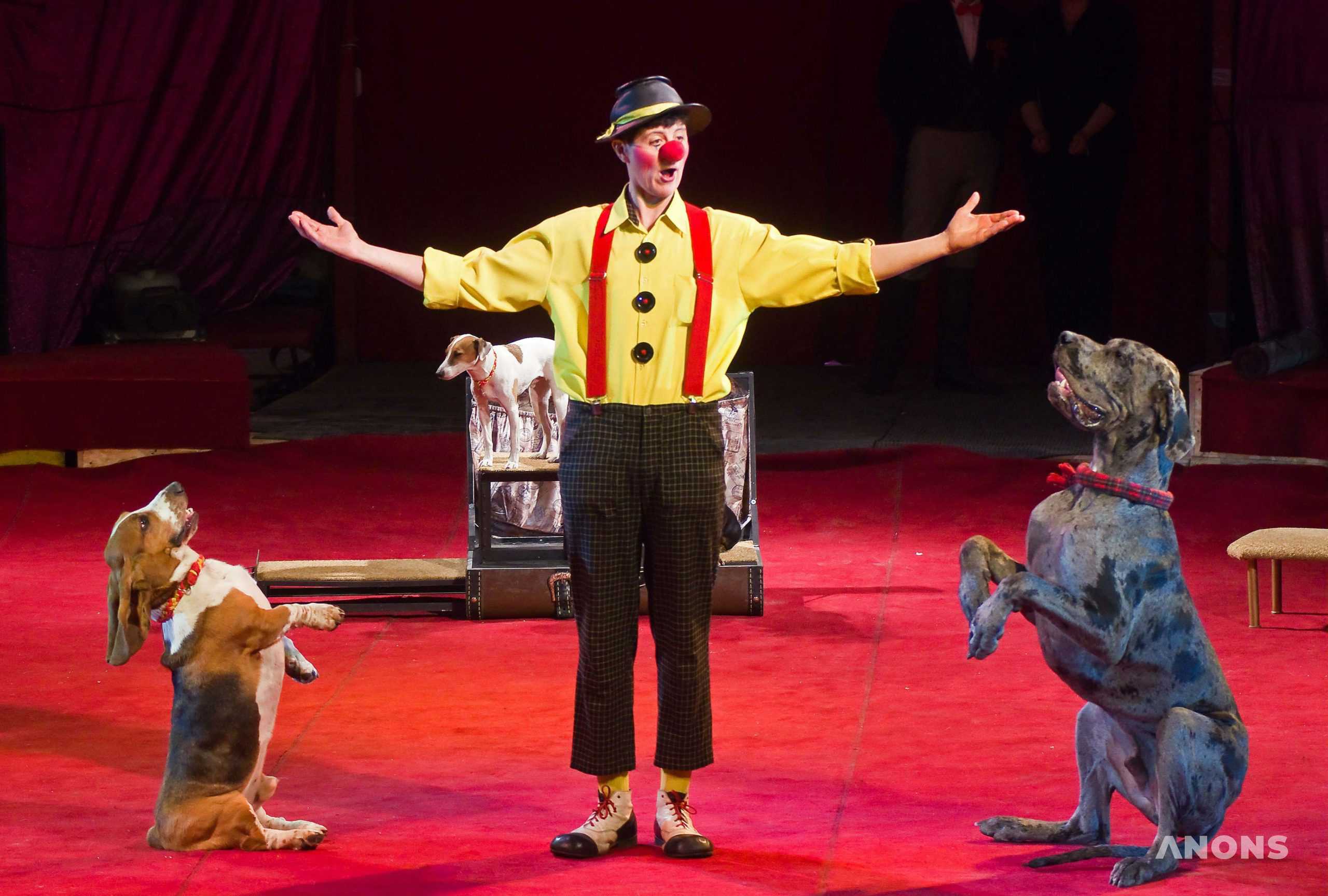 Российский цирк-шапито с программой «В мире животных»