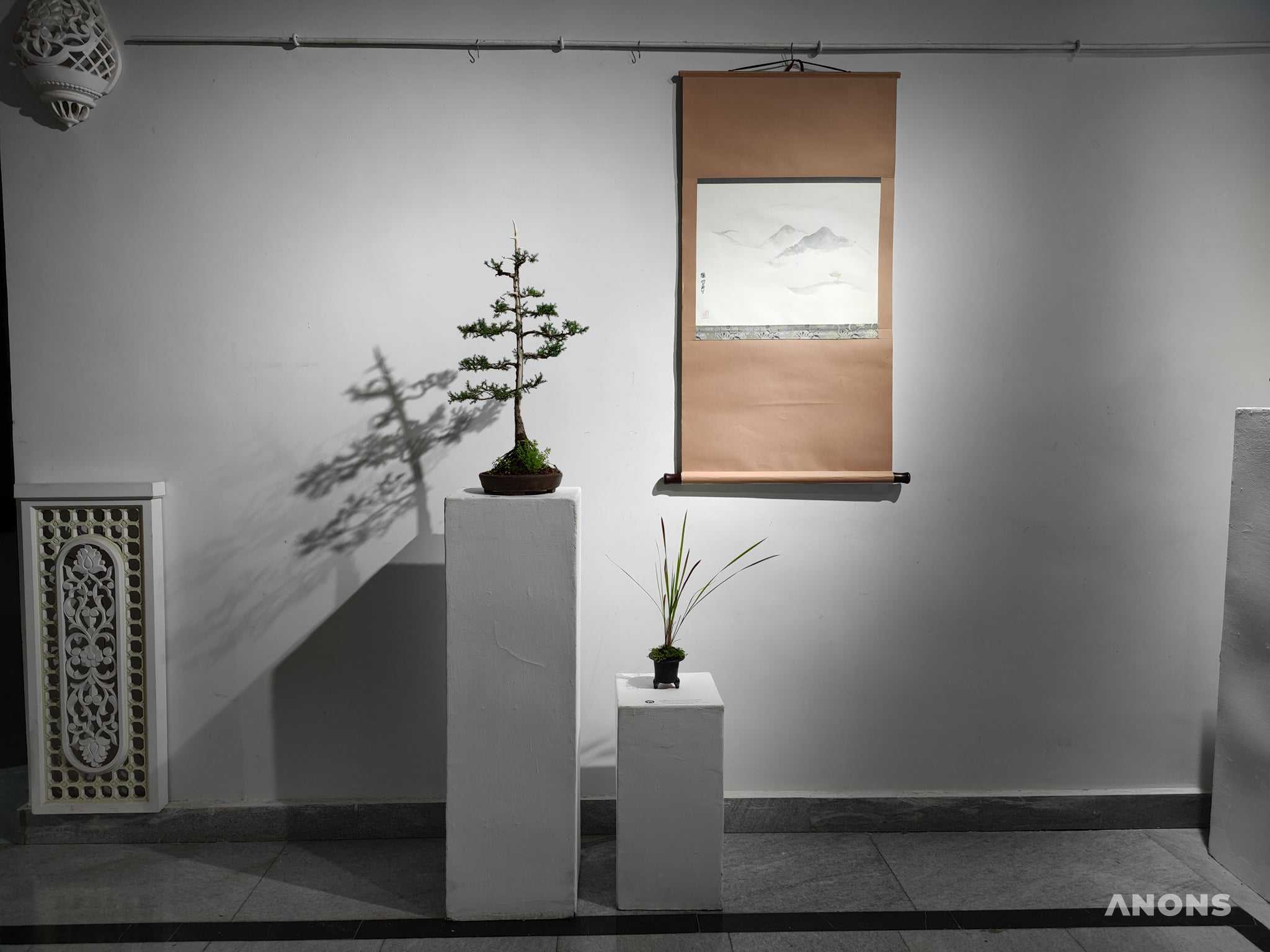 Выставка «Искусство бонсая – гармония природы»
