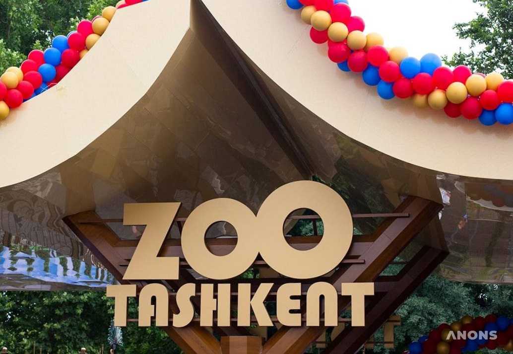 В Ташкентском зоопарке открыли новый удобный вход для посетителей и запустили проект по строительству ресторана