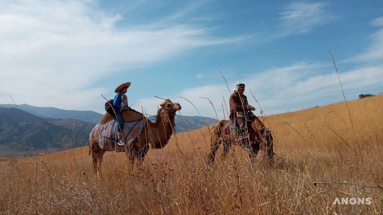 В Заамине проходят съемки узбекского фильма «Мерос» - фото