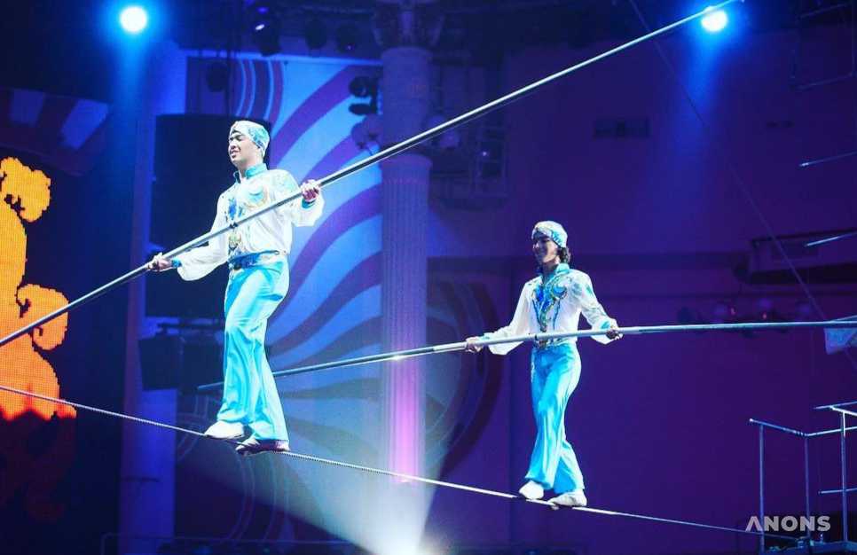 Завораживающие представления в Ташкентском цирке