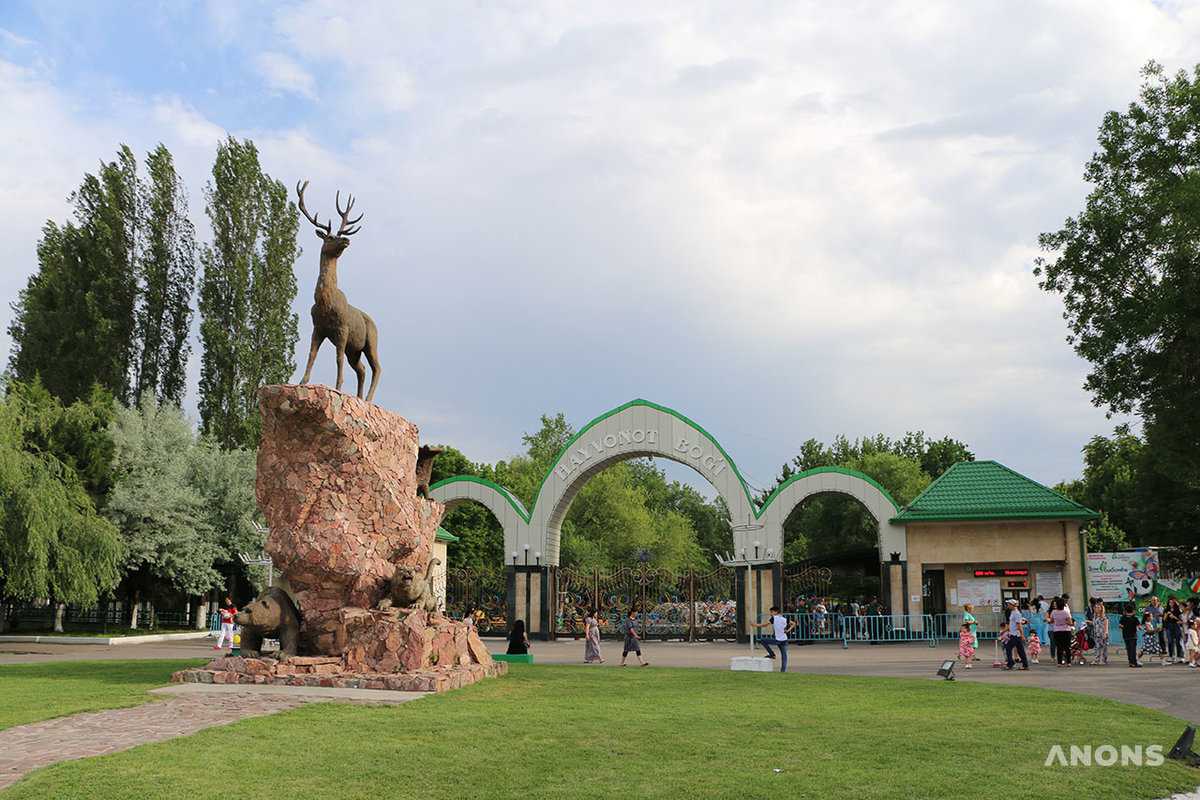 Ташкентский зоопарк открывает свои двери