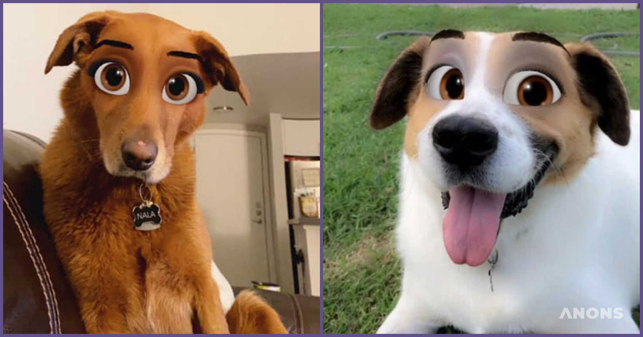 Диснеевские собаки: в Snapchat появился очень милый фильтр