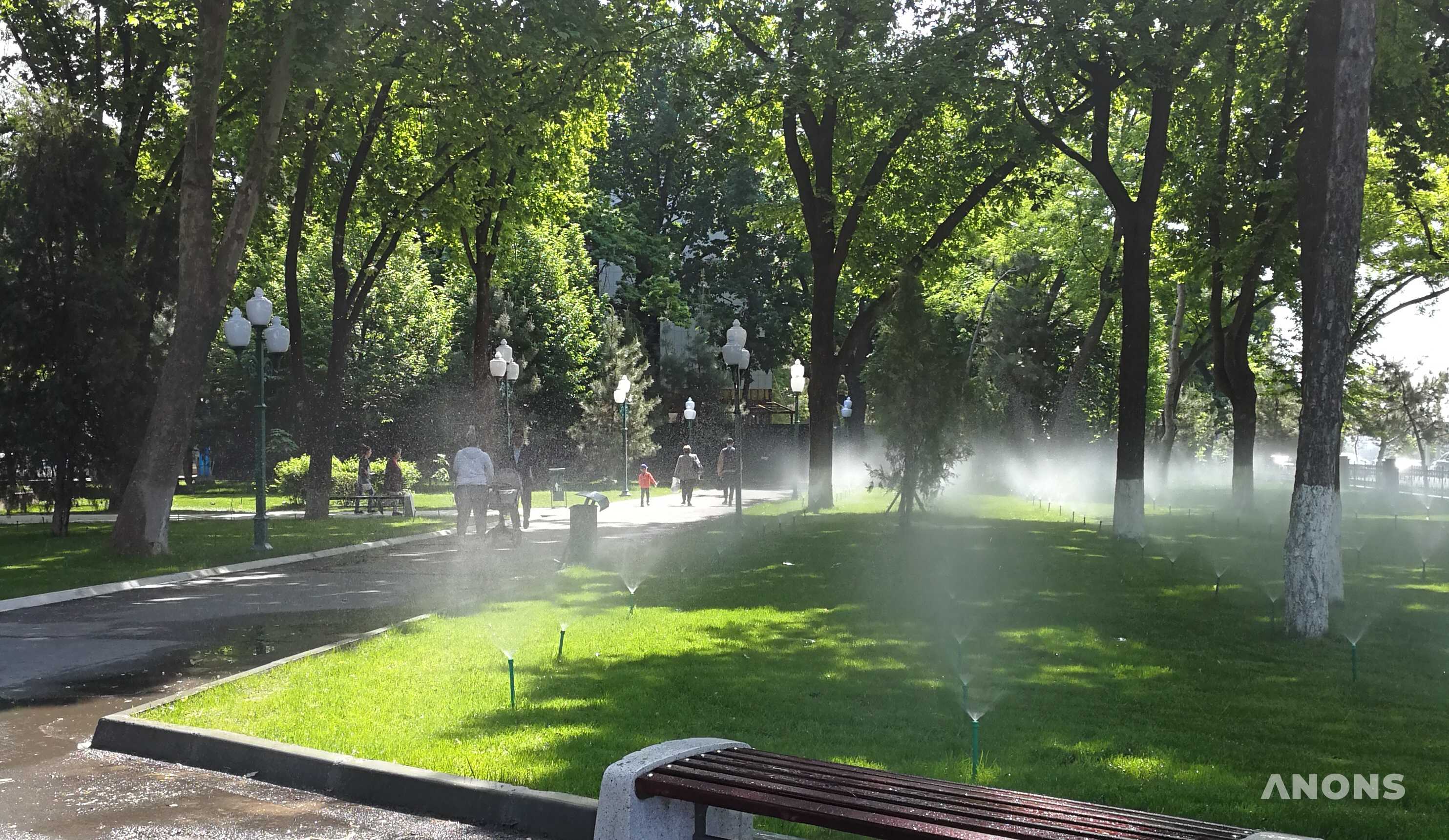 В выходные в Узбекистане ожидается сухая и умеренно жаркая погода