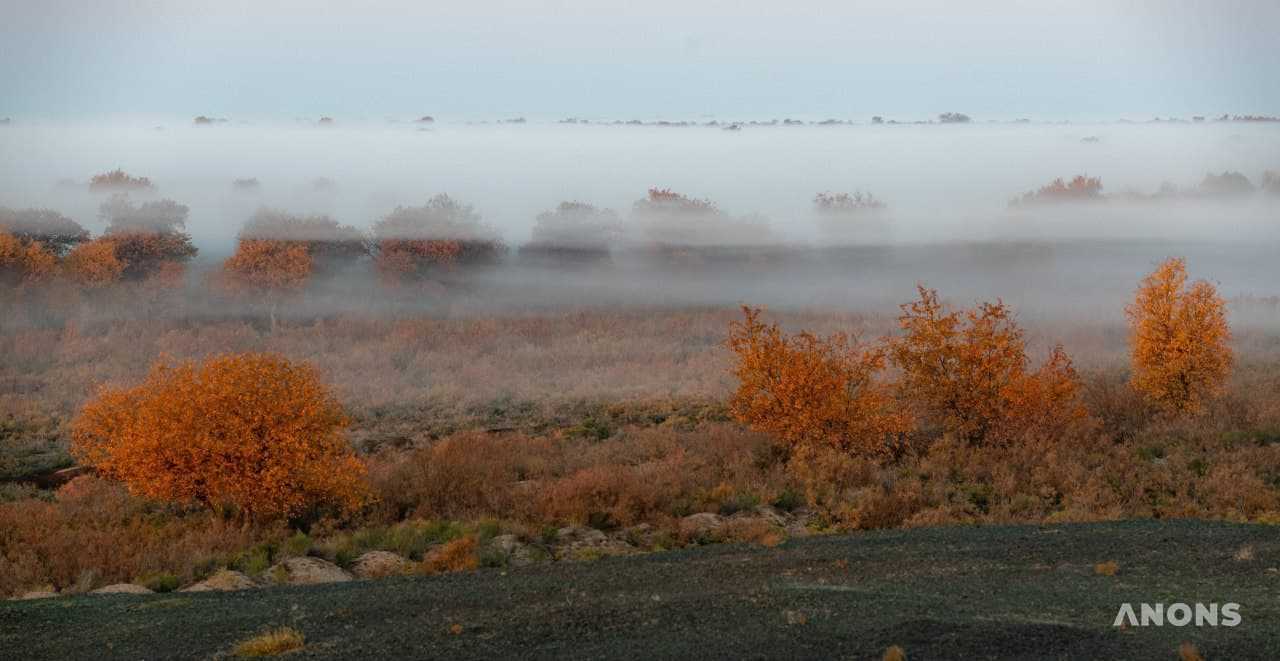 В начале октября в некоторых регионах Узбекистана ожидается похолодание до 0 градусов и снег