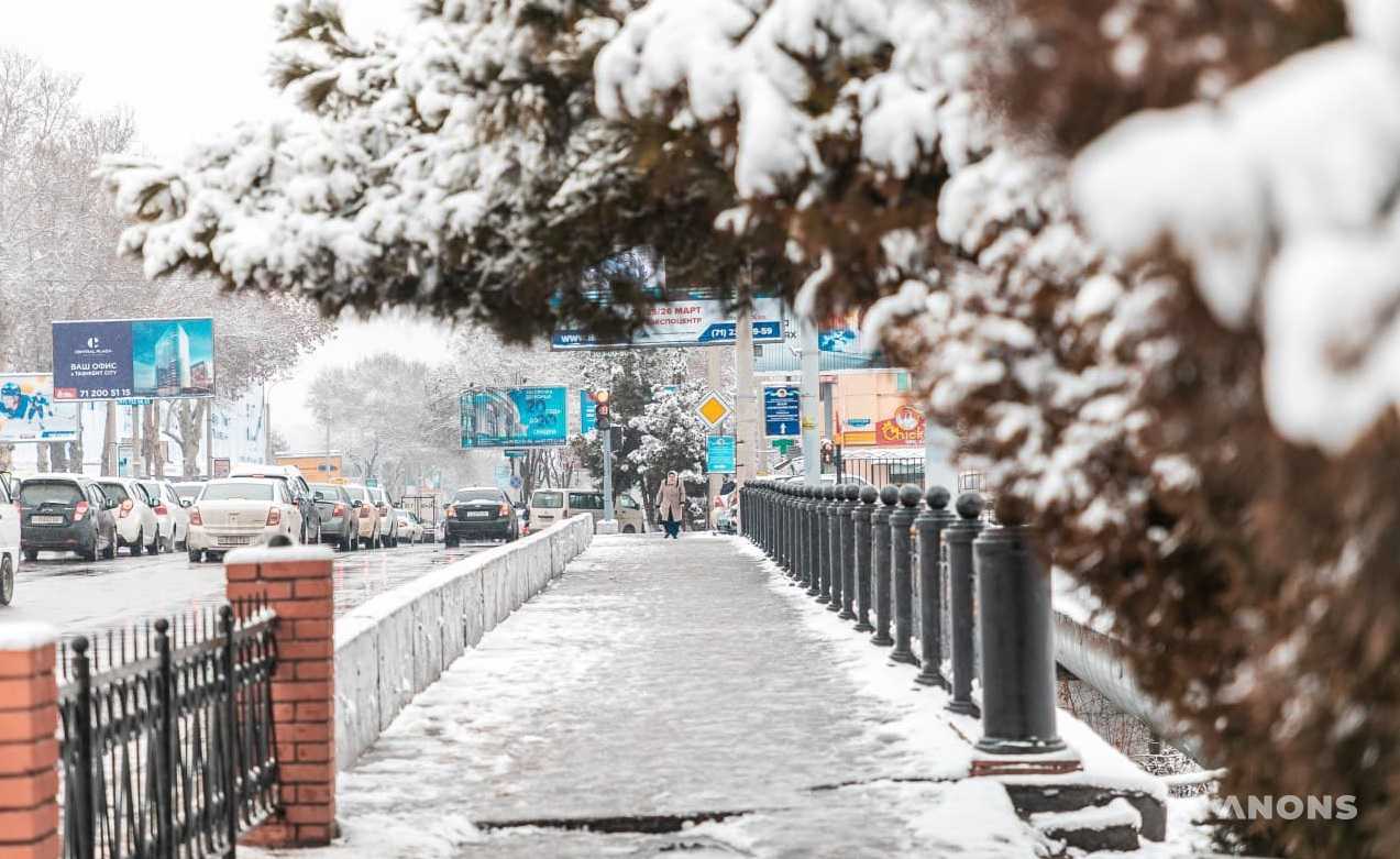 Каким будет первый месяц зимы в Узбекистане: прогнозы синоптиков