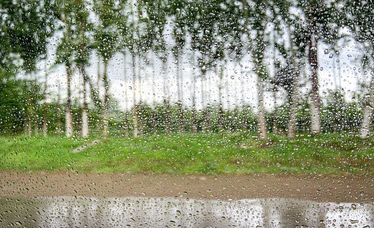В течение всей недели в Узбекистане сохранится дождливая погода