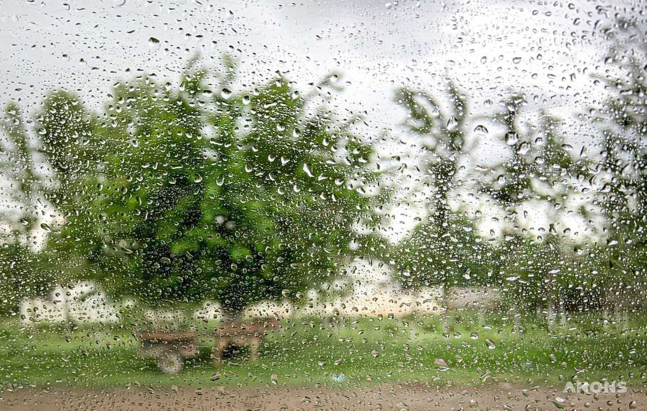 Дожди, сильный ветер и похолодание ожидаются во второй половине недели в Узбекистане