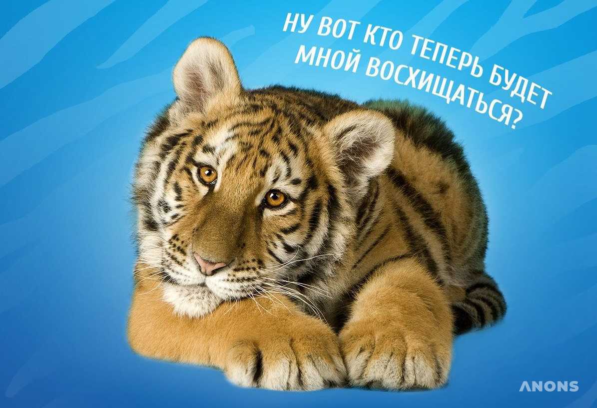 Ташкентский зоопарк уходит на карантин