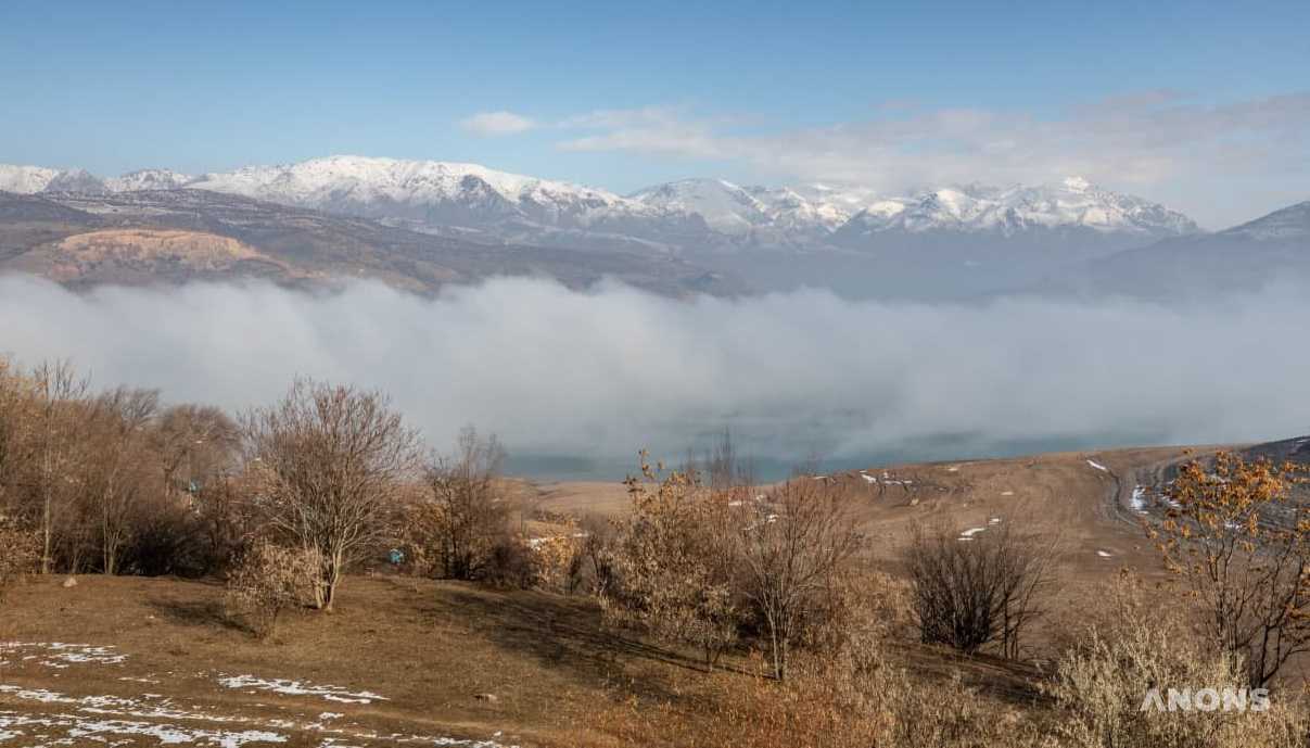 В некоторых регионах Узбекистана ожидаются заморозки до -2 градусов