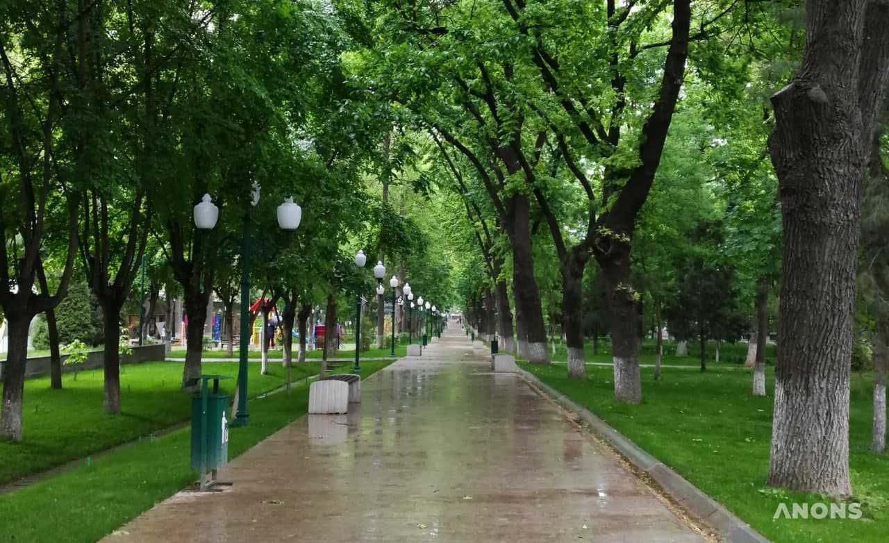 В первой половине недели в Узбекистане ожидается прохладная и дождливая погода