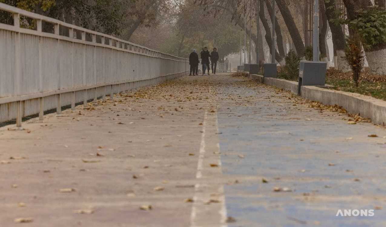 Сильные порывы ветра и пыльные бури ожидаются в ближайшие дни в Узбекистане