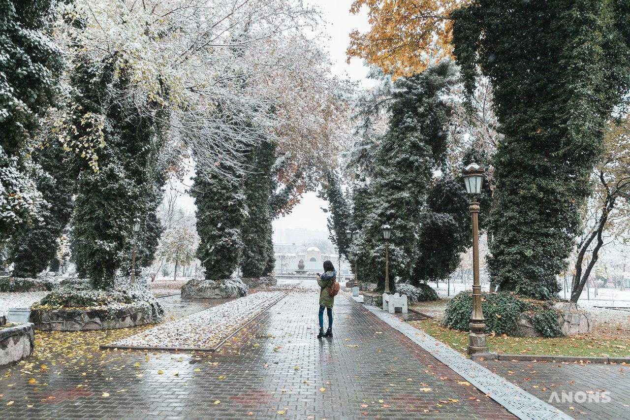 Первый снег в Ташкенте — фоторепортаж