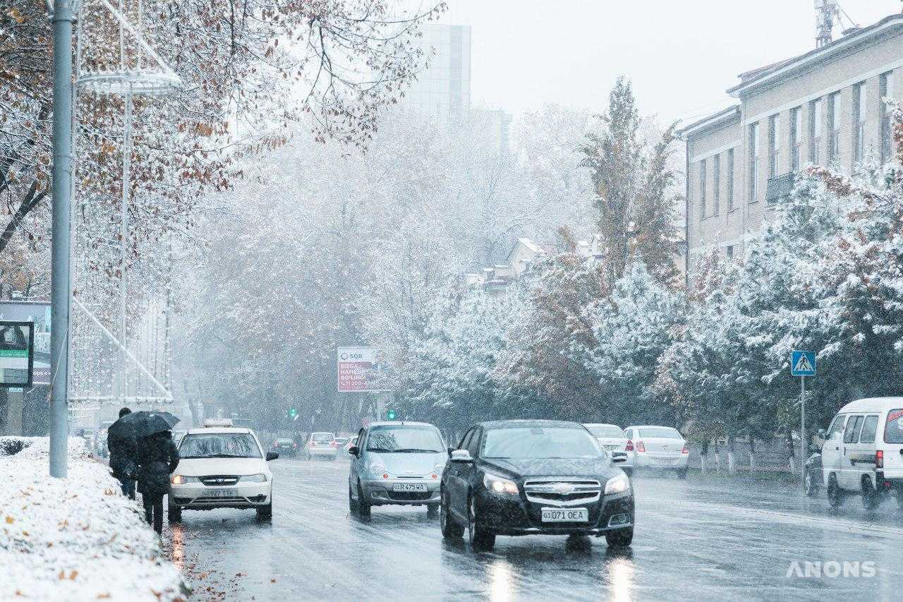 Первый снег в Ташкенте — фоторепортаж