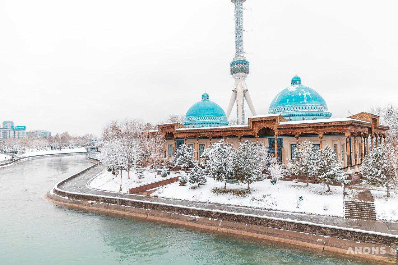 Ташкент замело снегом — фоторепортаж