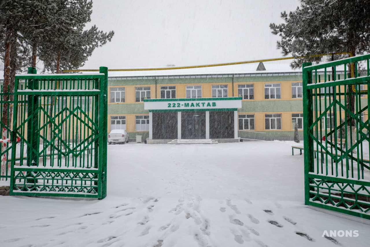 В Ташкенте выпал ноябрьский снег - фоторепортаж
