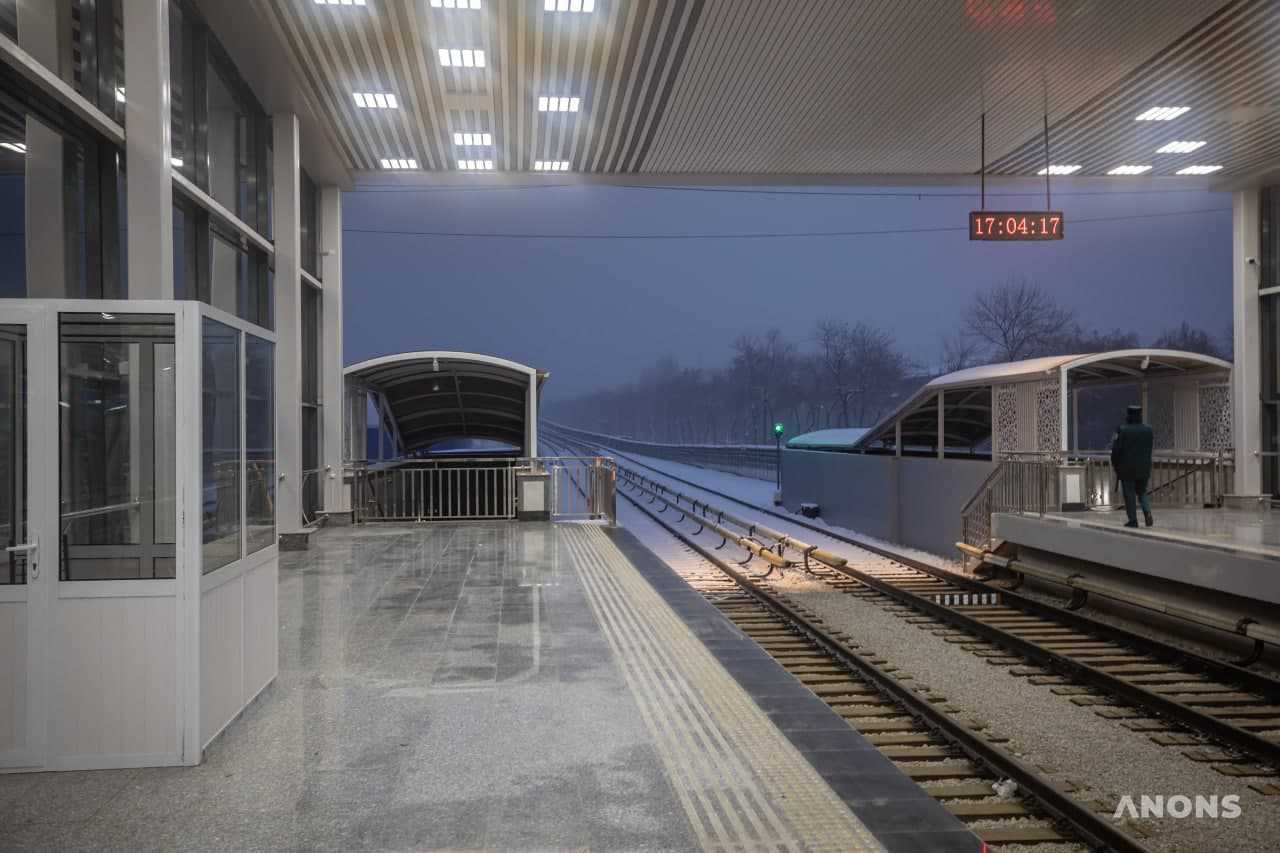 В Ташкенте выпал ноябрьский снег - фоторепортаж