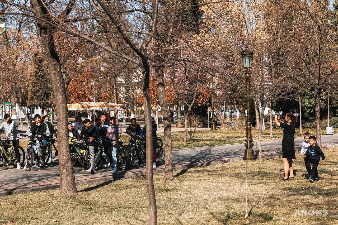 Ташкент цветёт и зеленеет: весенняя погода в феврале - фоторепортаж