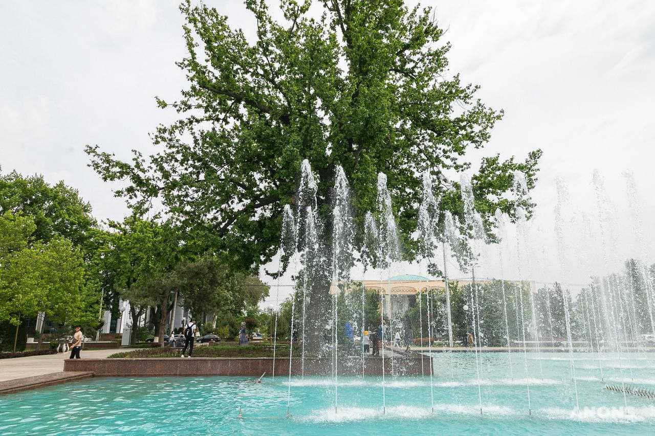 В Ташкенте запустили большой фонтан на площади Мустакиллик - фото