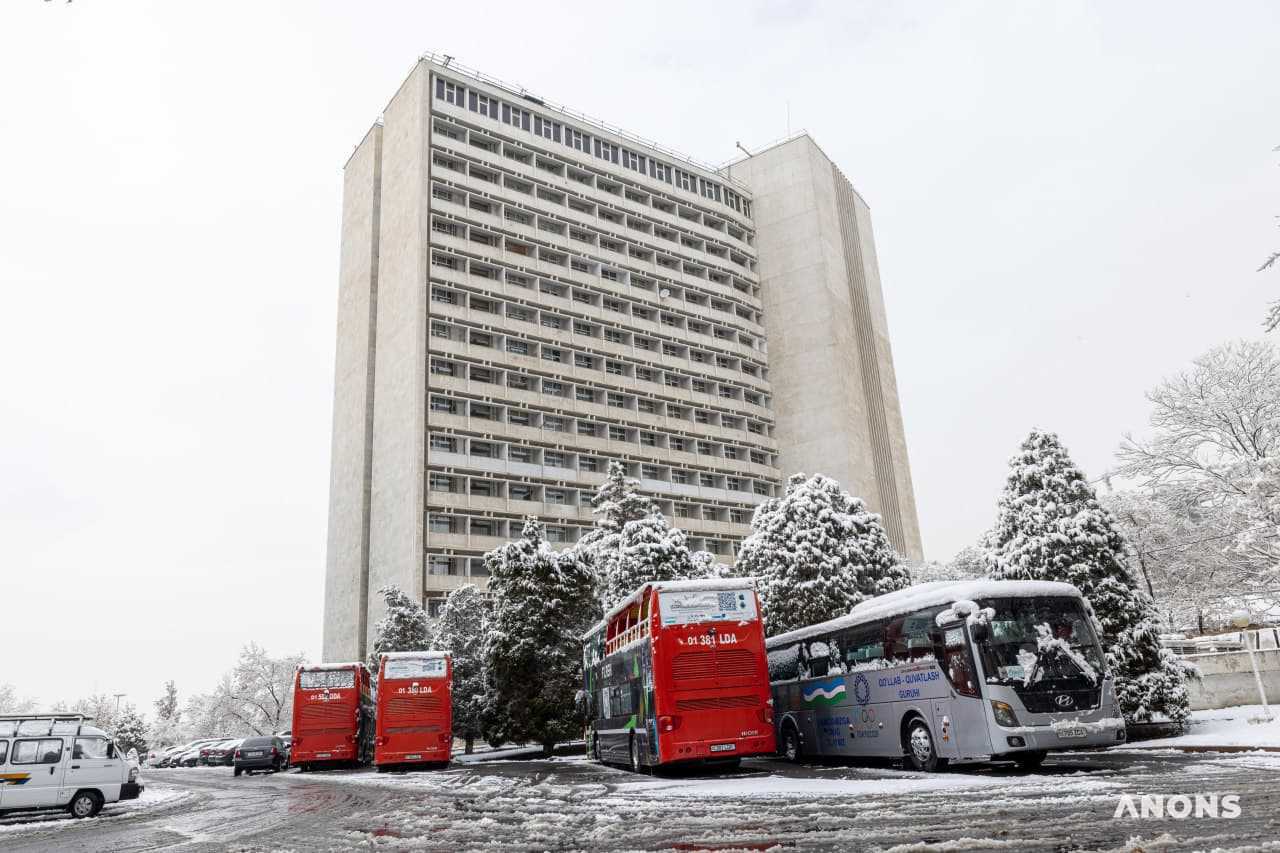 В Ташкенте выпал первый снег – фото