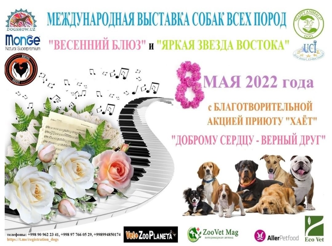 Международная выставка собак  — Anons.uz