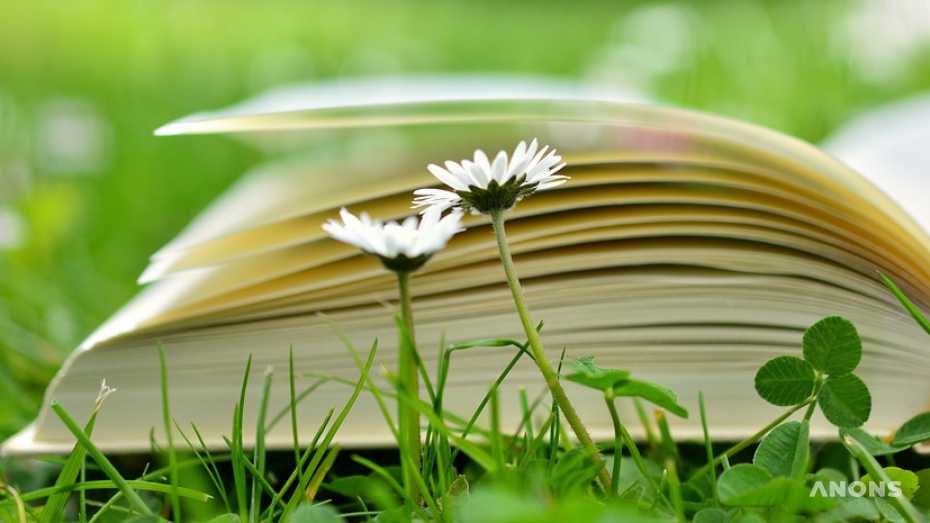 Топ-10 книг, от которых хочется жить