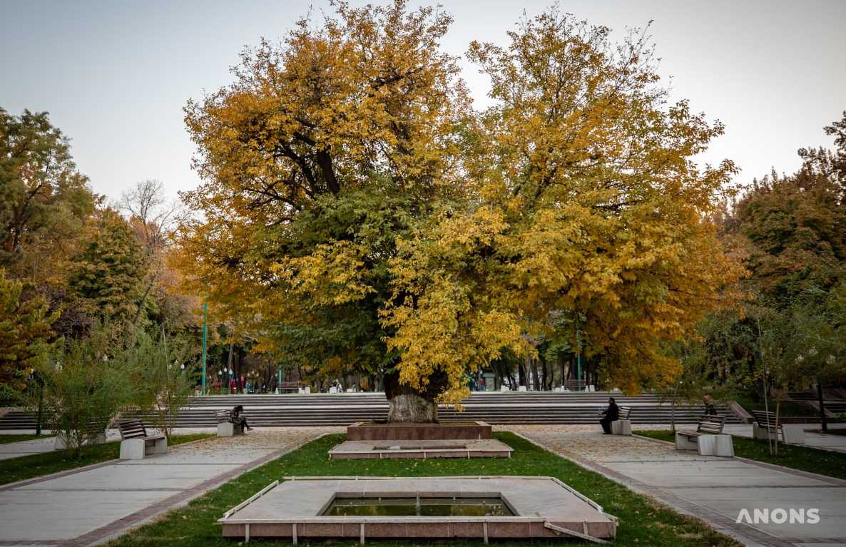 Местами ветреная прохладная погода ожидается на предстоящей рабочей неделе