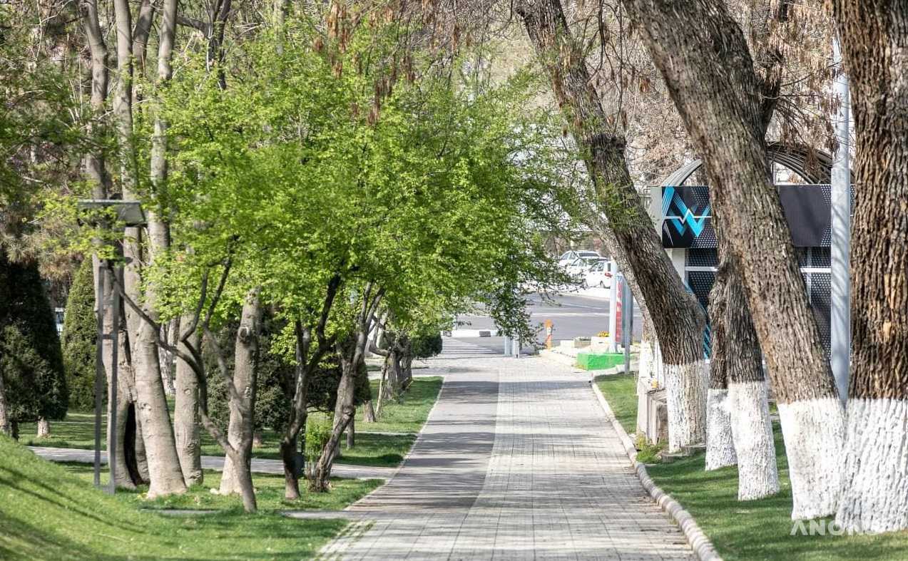 В выходные температура воздуха поднимется до +27 градусов