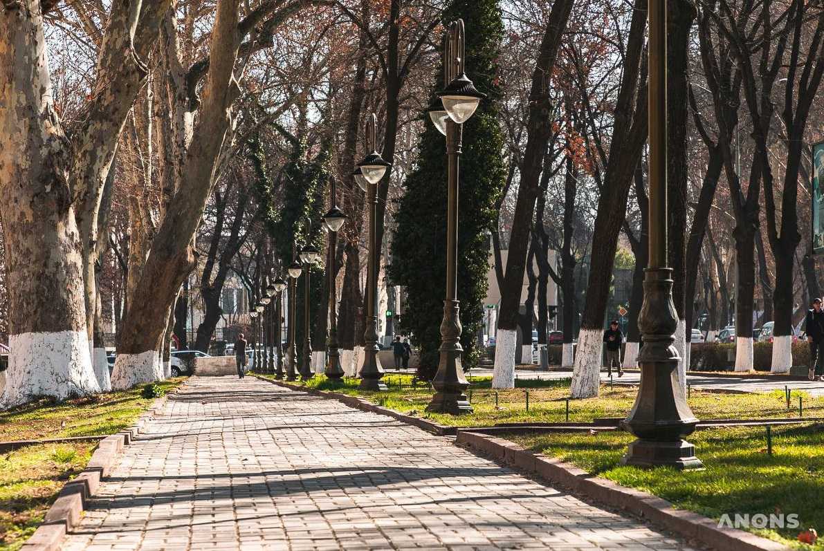 Тёплая и сухая погода ждёт узбекистанцев в выходные