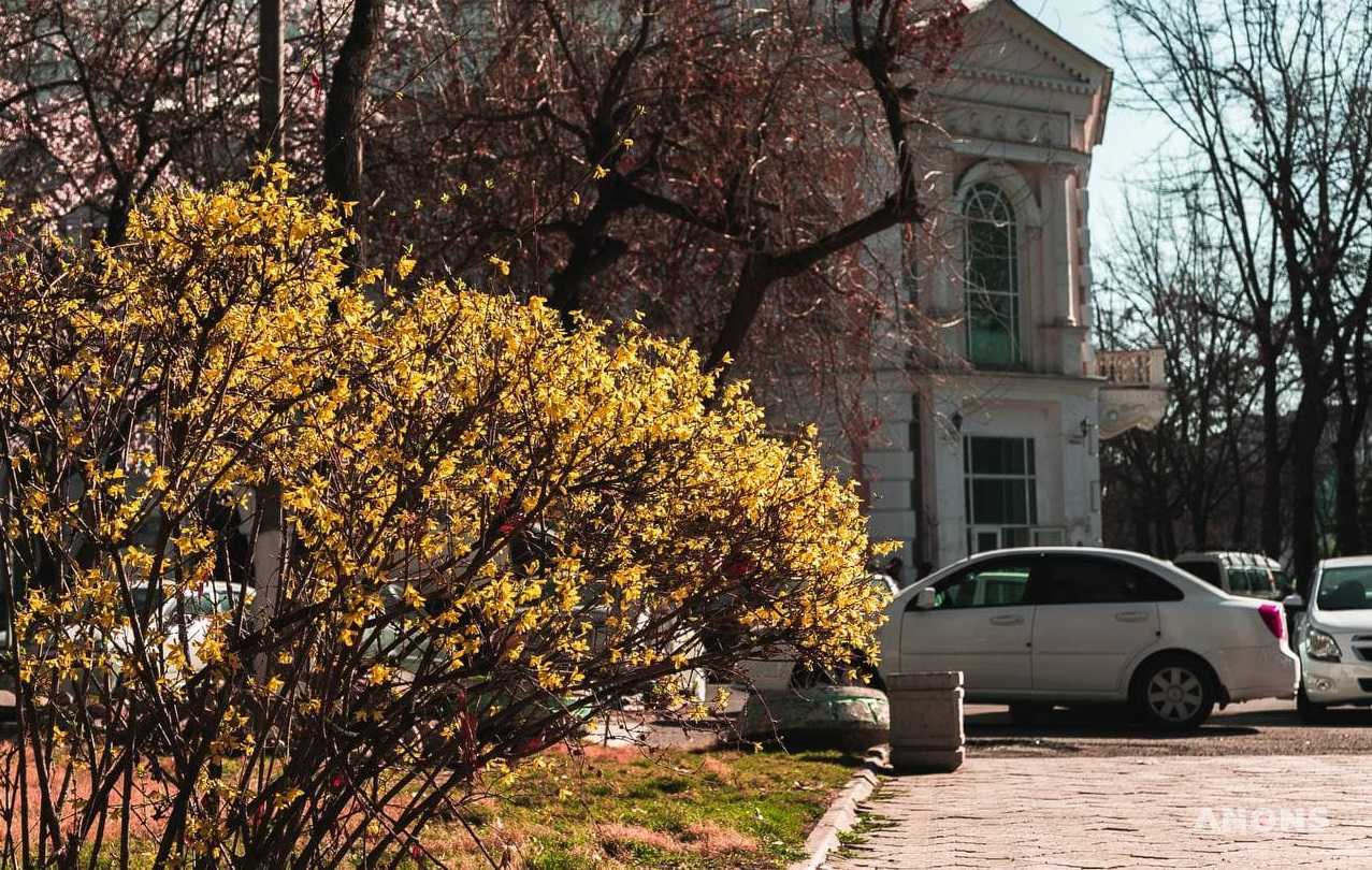 Небольшие осадки в ближайшие дни и потепление до +20 градусов ждет узбекистанцев к концу недели