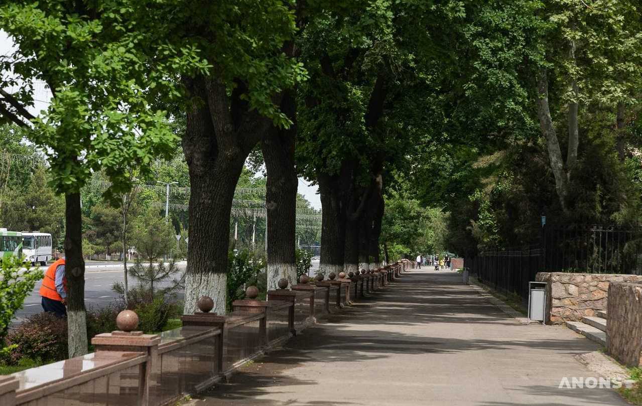На выходных жаркая погода сохранится. Воздух прогреется до +42 градусов